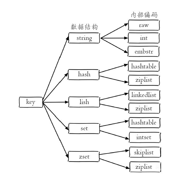 redis数据结构内部编码